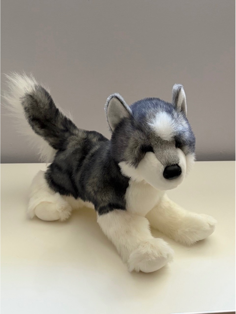 Husky Sasha Plush Dog by Douglas - Soft and Cuddly Stuffed Animal